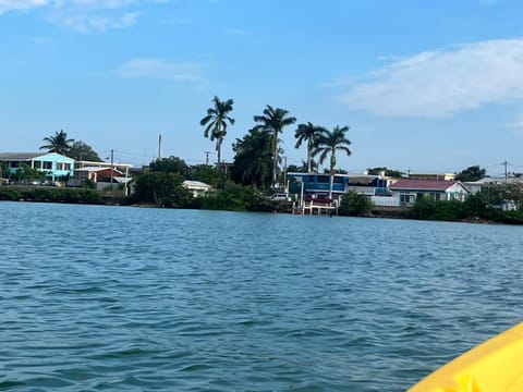 Rum punch lodge Hotel in Corozal District