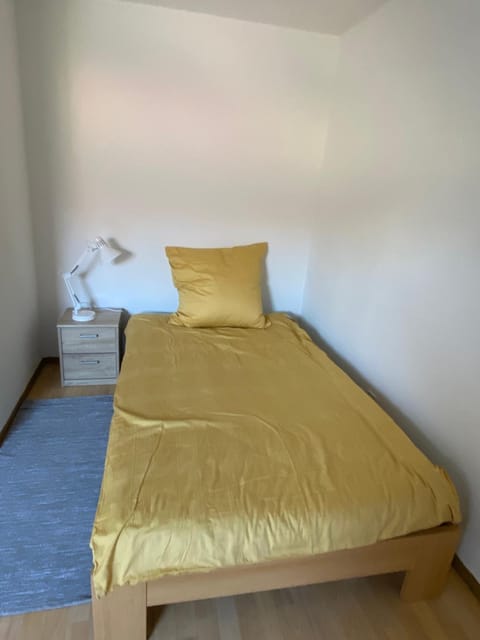 Kleines schnuggeliches Apartment Condo in Wurzburg