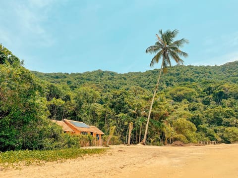 Garden, Beach