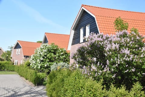 Property building, Spring, Day