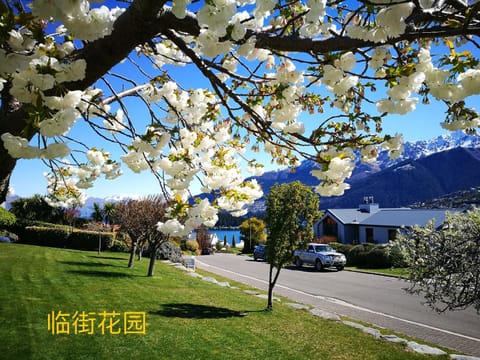 Spring, Neighbourhood, Street view