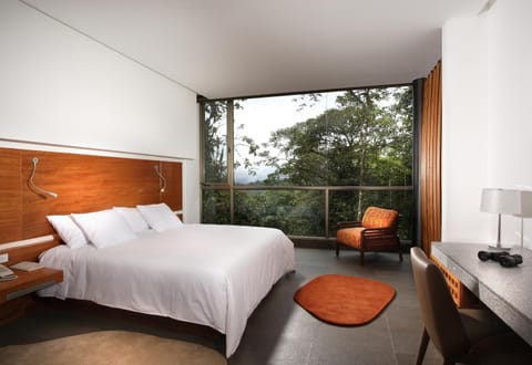 Bedroom, Mountain view