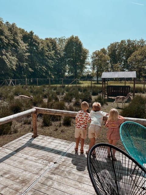 Balcony/Terrace, Animals
