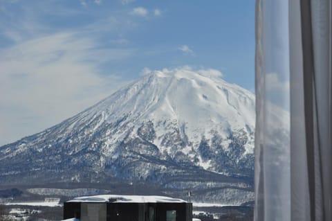 Winter, View (from property/room)