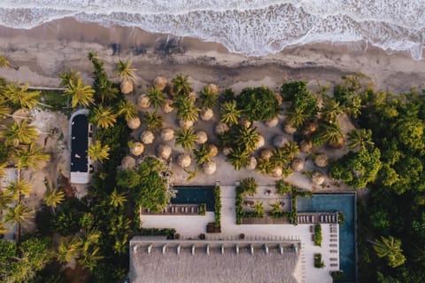 Property building, Beach, Swimming pool