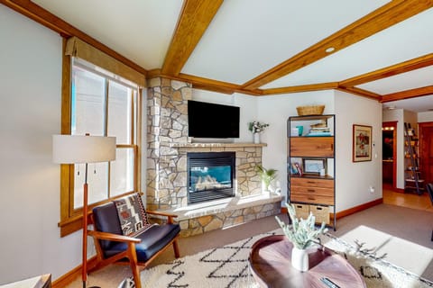 Palmyra 4E Apartment in Telluride