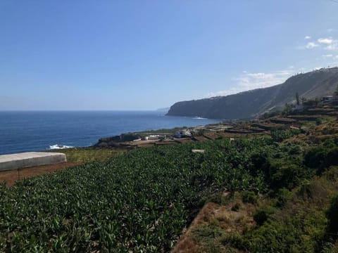 Casa Romera House in Orotava Valley