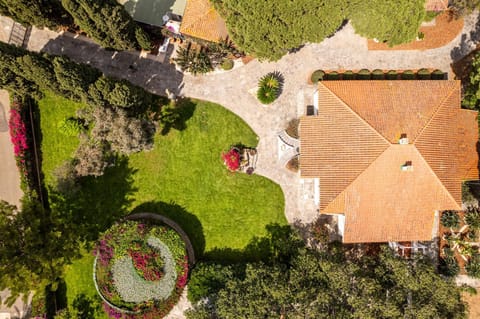 Property building, Spring, Neighbourhood, Natural landscape, Bird's eye view, Street view