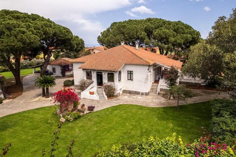 Property building, Spring, Natural landscape, Garden view