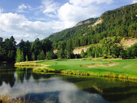 Tamarron Pinecone - 810 House in La Plata County