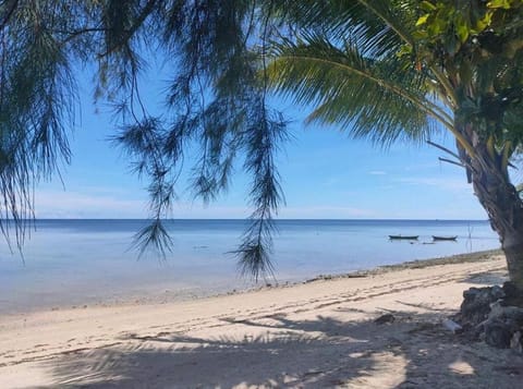 Bintan Brzee Beach in Bintan Island - Bungalow 4 Lodge nature in Teluk Sebong
