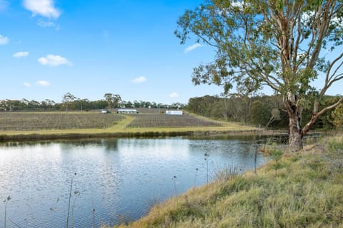 Molly Morgan Vineyard Villa Shiraz House in Rothbury