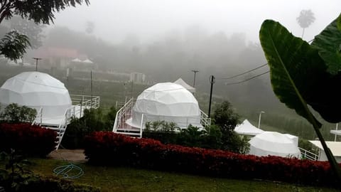 Elizabeth Camping at Khaokho ( เอลิซาเบ็ธ แคมป์ปิ้ง แอท เขาค้อ) Tenda di lusso in Laos