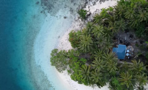 Bird's eye view, Beach, Sea view