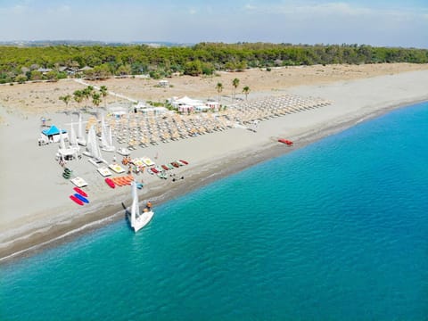 Summer, Beach