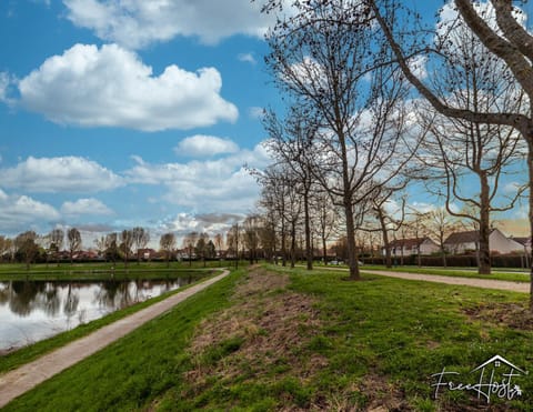 Natural landscape, Lake view