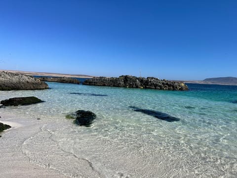 Nearby landmark, Beach