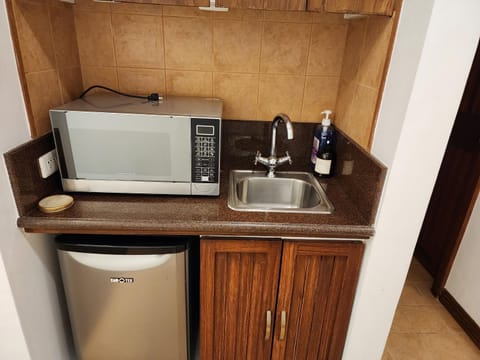 Coffee/tea facilities, Kitchen or kitchenette, dishwasher, minibar, oven