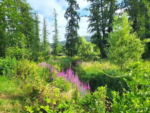 Day, Natural landscape