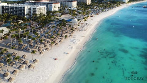 Bird's eye view, Beach