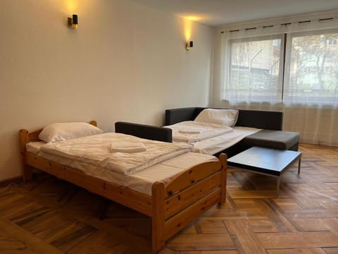 3-Zimmer mit Terrasse im Herzen von Göttingen Apartment in Göttingen