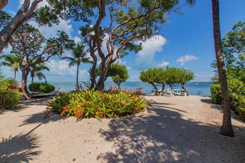 Rock Harbor C9 House in Key Largo