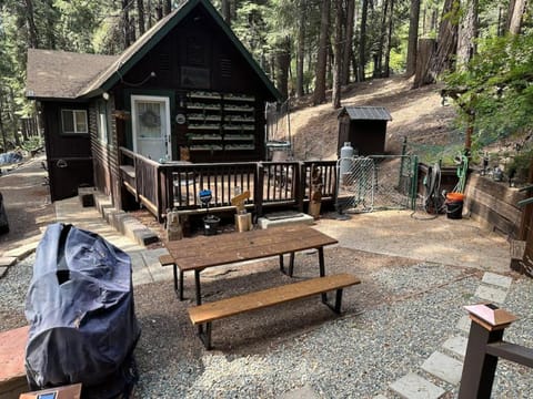 Cabin in the Trees - Hot Tub Casa in Pollock Pines