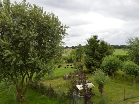 Modern Holiday Home in Holten with Forest Near Haus in Holten