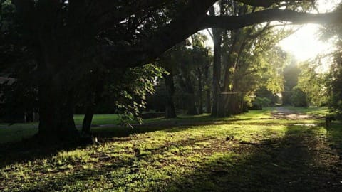 Spring, Natural landscape, Garden, Garden view