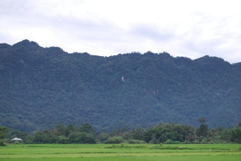 Rosani villa Country House in West Sumatra, Indonesia