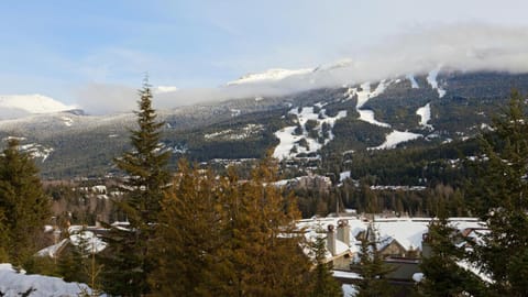 Peak View Chalet | Spacious Chalet, Stunning Mountain Views, Private Hot Tub House in Whistler