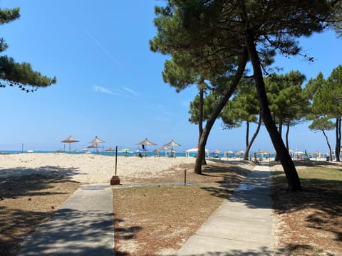 Pines Paradise at Blue Laguna Residence House in Tirana County, Albania