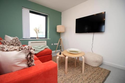 Observatory 2 bedroom apartment overlooking Beach Apartment in Swansea