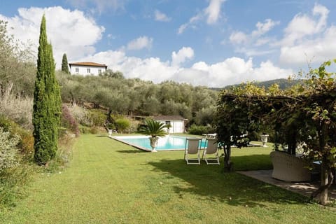 Natural landscape, Pool view, Swimming pool, sunbed