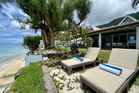 Garden, Seating area, Beach, Sea view, sunbed