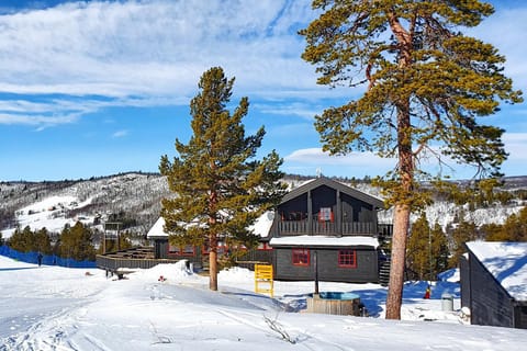 Property building, Day, Natural landscape, Winter, Mountain view