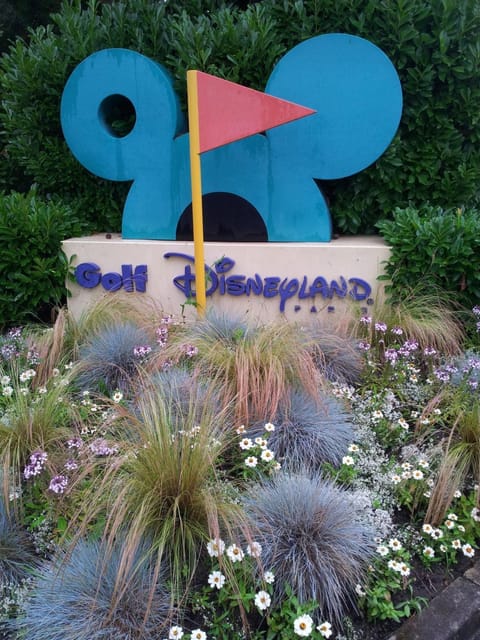 Minigolf, Area and facilities