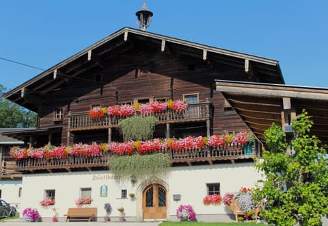 Property building, Summer