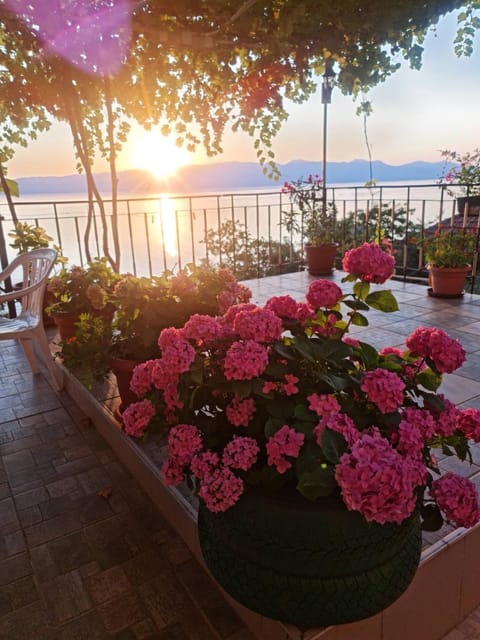 Sonce Guest House Bed and Breakfast in Municipality of Ohrid, North Macedonia