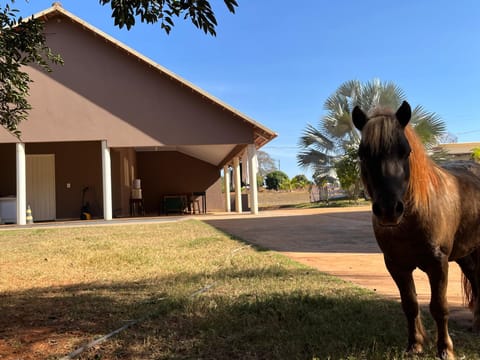 Hotel Fazenda Flamarion Country House in State of Mato Grosso do Sul, Brazil