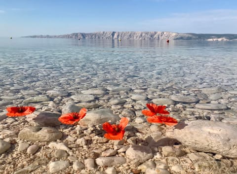 Spring, Natural landscape, Summer, Decorative detail, Beach, Canoeing, Hiking, Diving, Sea view