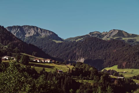 Chalets de l'Alpaga Chalé in Megève