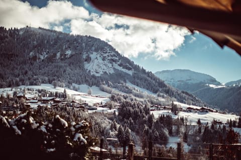 Day, Natural landscape, Winter, View (from property/room), Mountain view