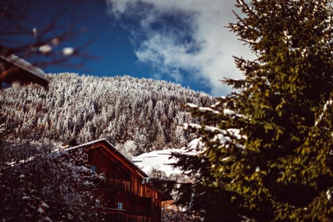 Day, Natural landscape, Winter, View (from property/room), Mountain view