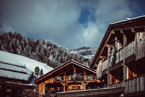 Property building, Natural landscape, Winter, Mountain view