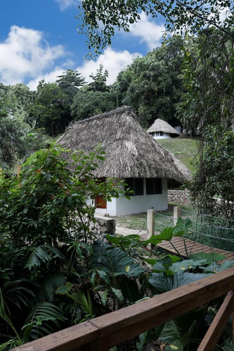Jade Jungle Resort Resort in Cayo District