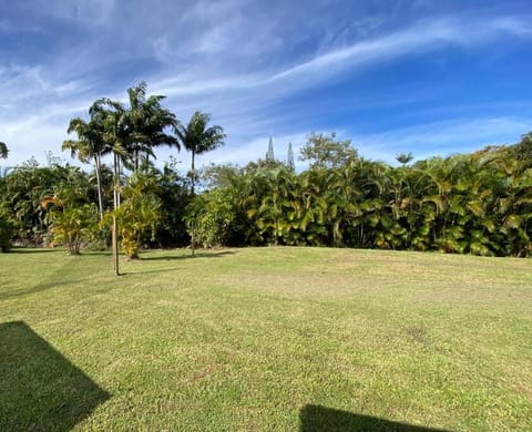 Secluded house, Opening special! House in Leilani Estates