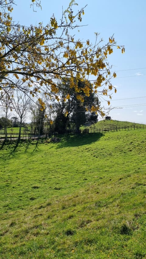 Spring, Natural landscape, Garden view