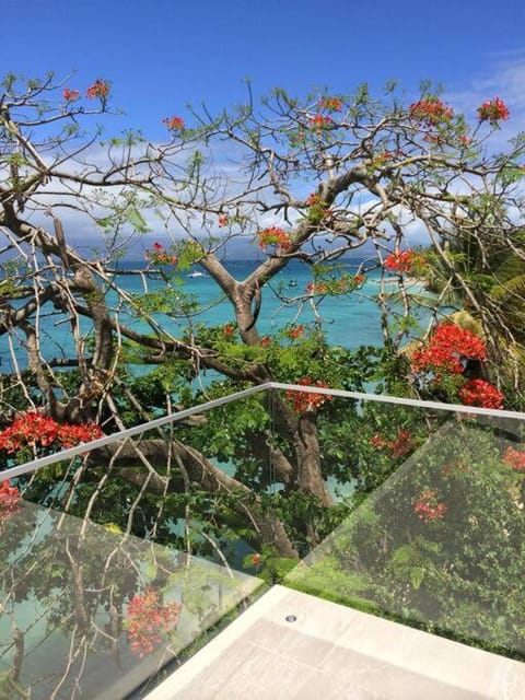 Une Terrasse sur la Mer Apartment in Le Gosier