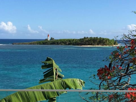 Nearby landmark, Natural landscape, Beach